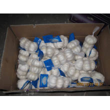 New Crop Export Chiese Good Quality Normal White Garlic